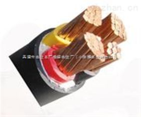 電氣設備與供電需求升級 ZR VV電纜2×10、2×16成市場關注焦點